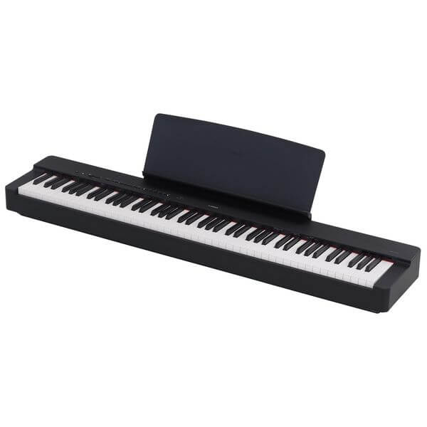 Yamaha P-225, vue d'ensemble